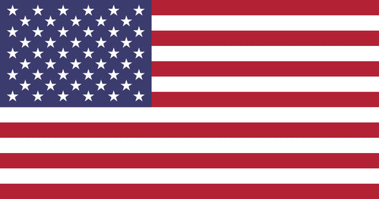 Americal Flag